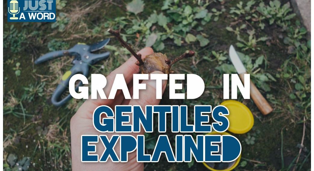 Just a Word GRAFTED IN GENTILES