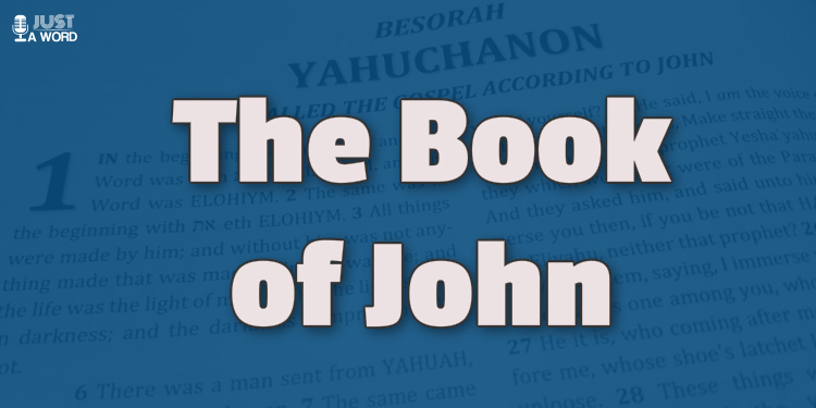 book of john