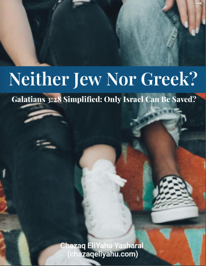neither jew nor greek ebook cover