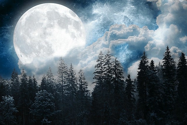 super moon over trees with cloudy skies