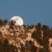 moon rising - when did sabbath change to lunar calendar