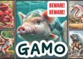 GAMO- Genetically Artificial Modified Organism