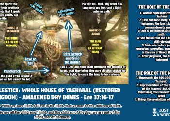 zechariah 4 diagram illustration chart