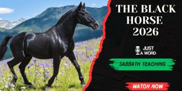 the black horse - just a word