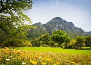 spring-table-mountain-cape-town-south-africa