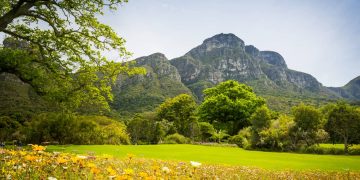 spring-table-mountain-cape-town-south-africa
