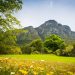 spring-table-mountain-cape-town-south-africa